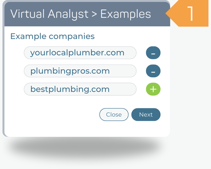 1. Enter example companies